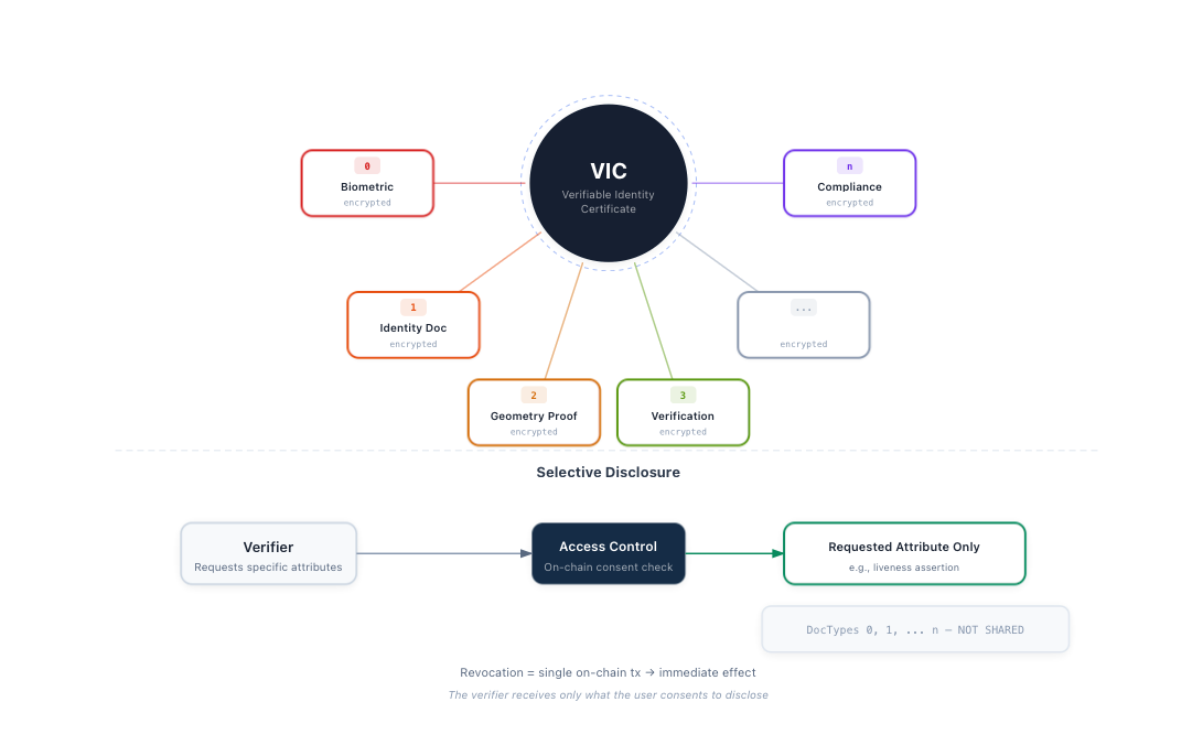 VIC Credential Schema